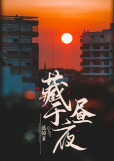 《藏于昼夜》by蓝掉(秦棠张贺年)未删节免费阅读